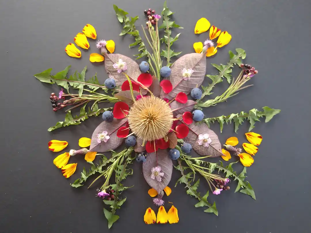 Flower Mandala - Art by Tim Waters