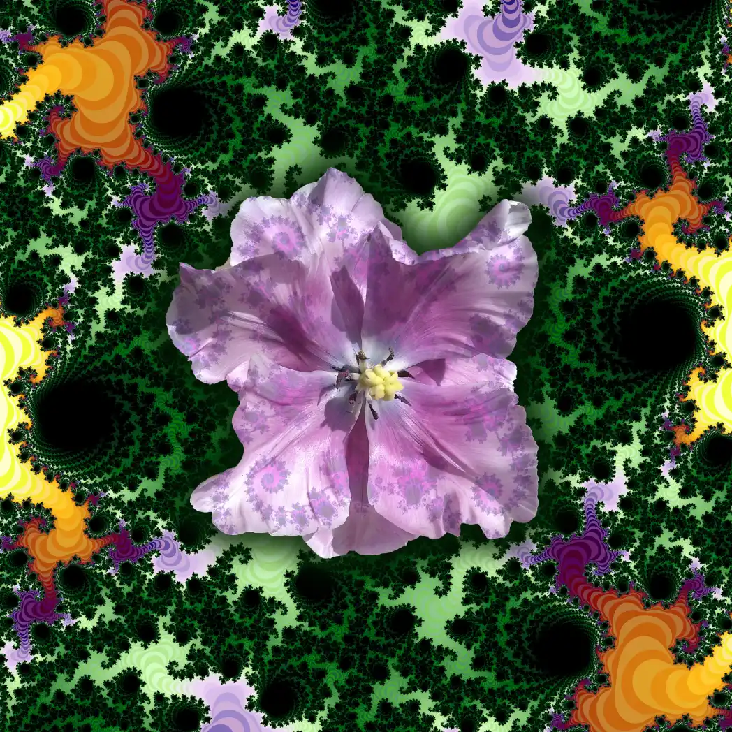 Fractal flower 02 - Art by Tim Waters