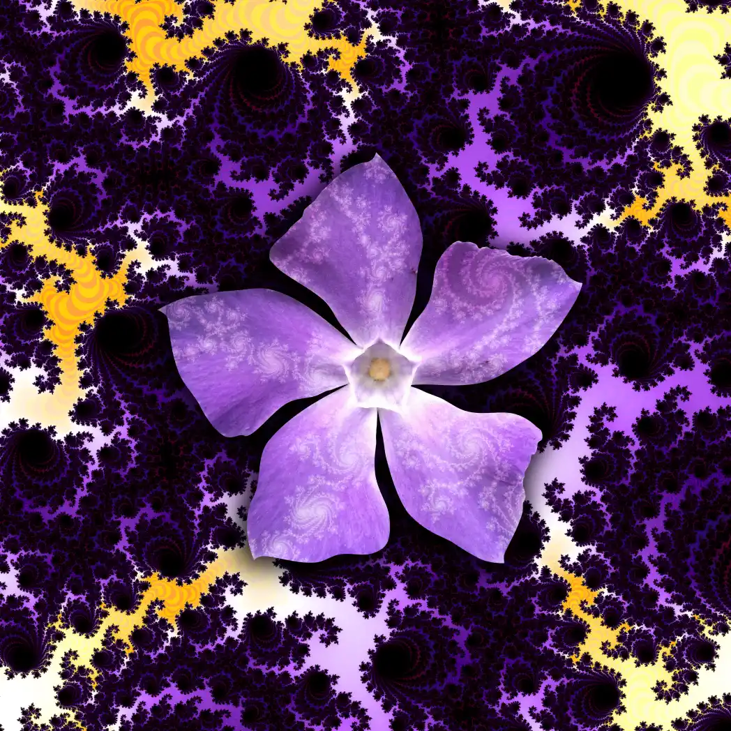 Fractal flower 04 - Art by Tim Waters