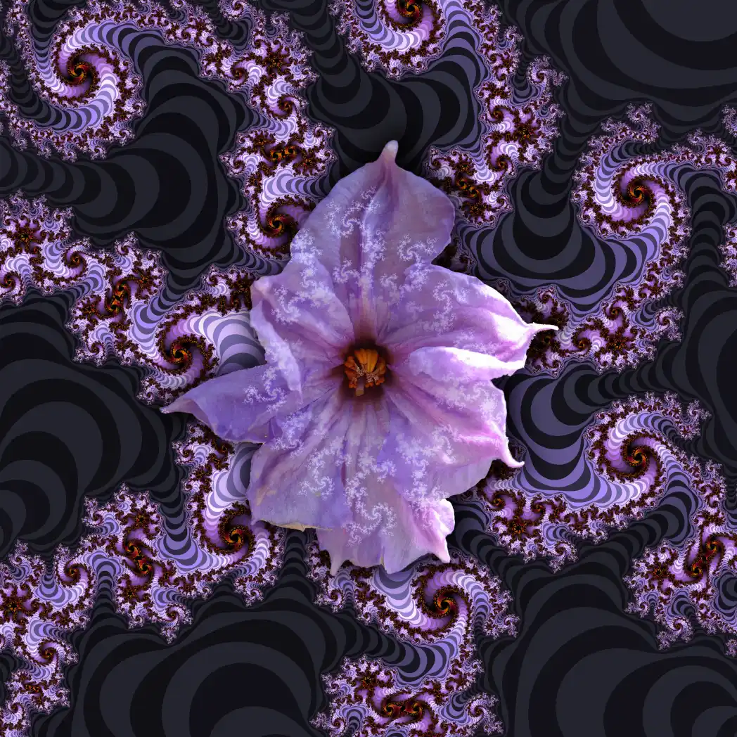 Fractal flower 11 - Art by Tim Waters