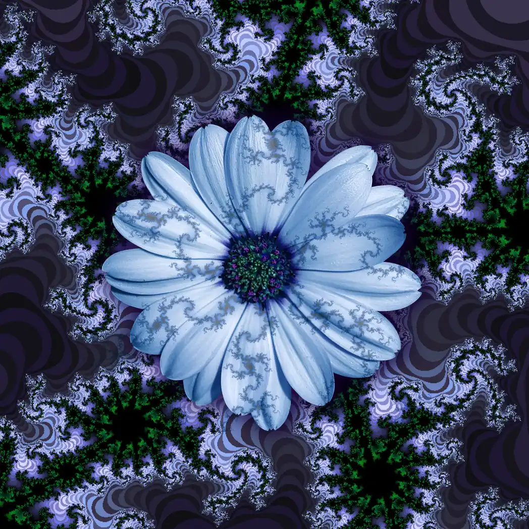 Fractal flower 13 - Art by Tim Waters