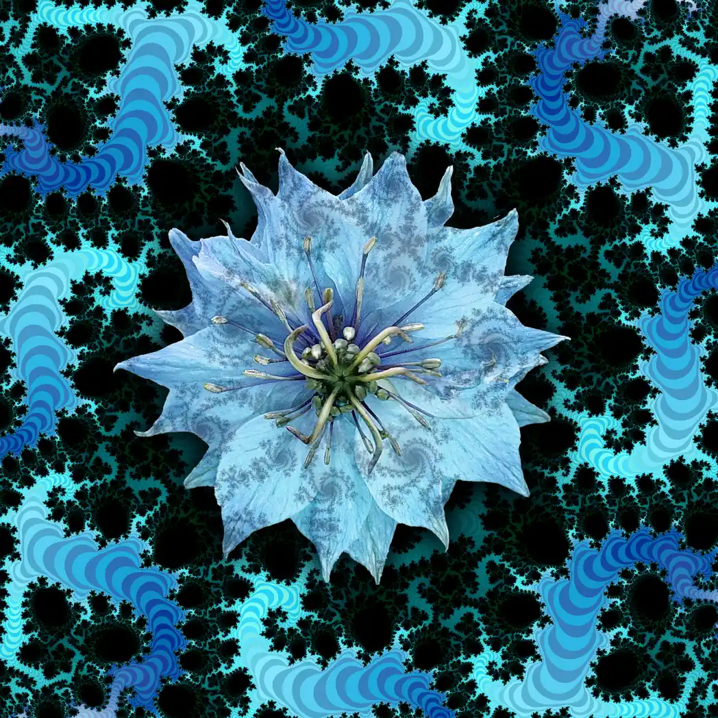 Fractal flower 16 - Art by Tim Waters