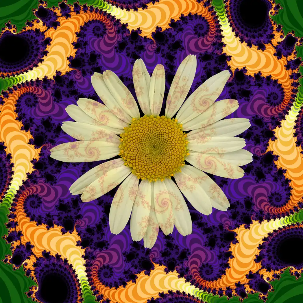 Fractal flower 18 - Art by Tim Waters