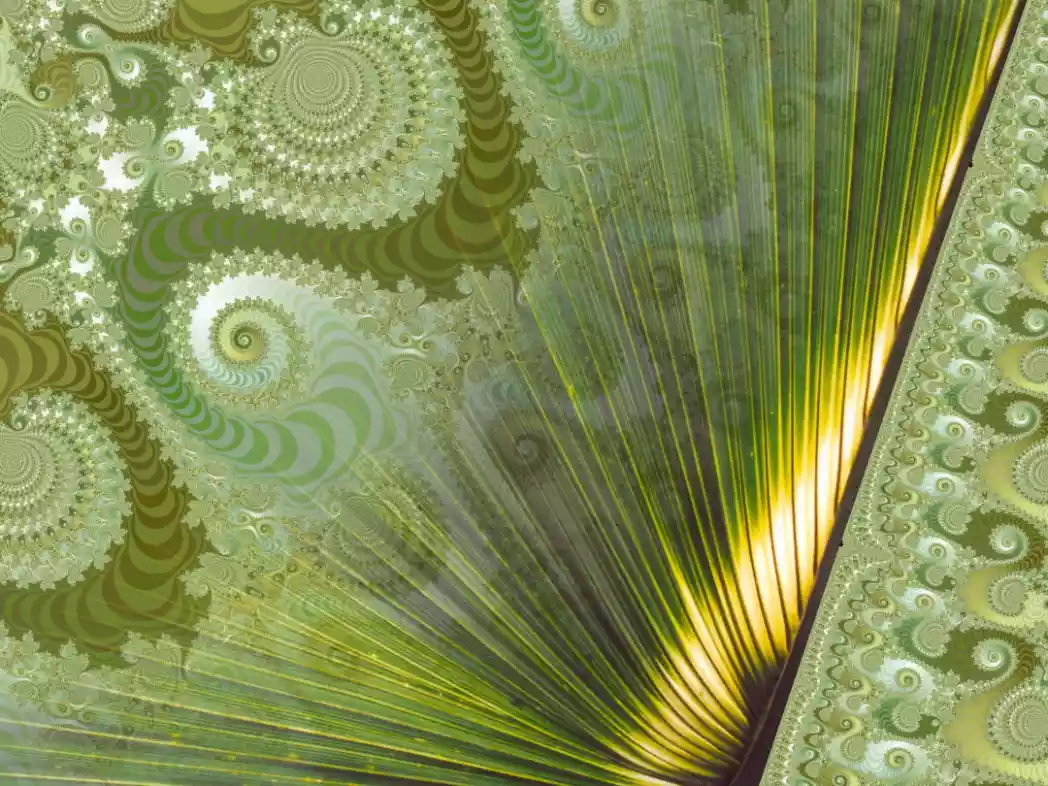 Fractal fern - Art by Tim Waters