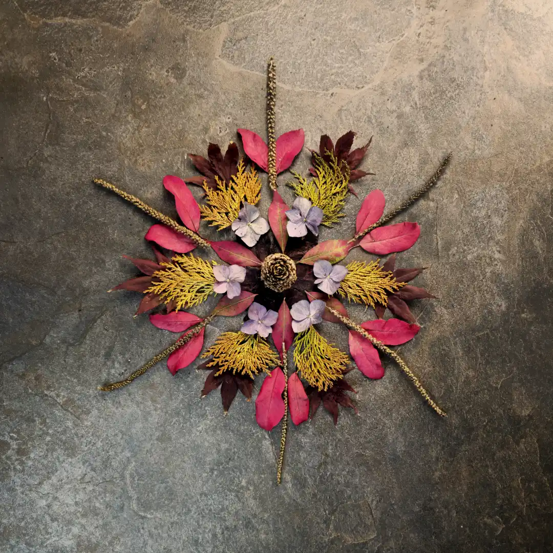 Leaf Mandala - Art by Tim Waters