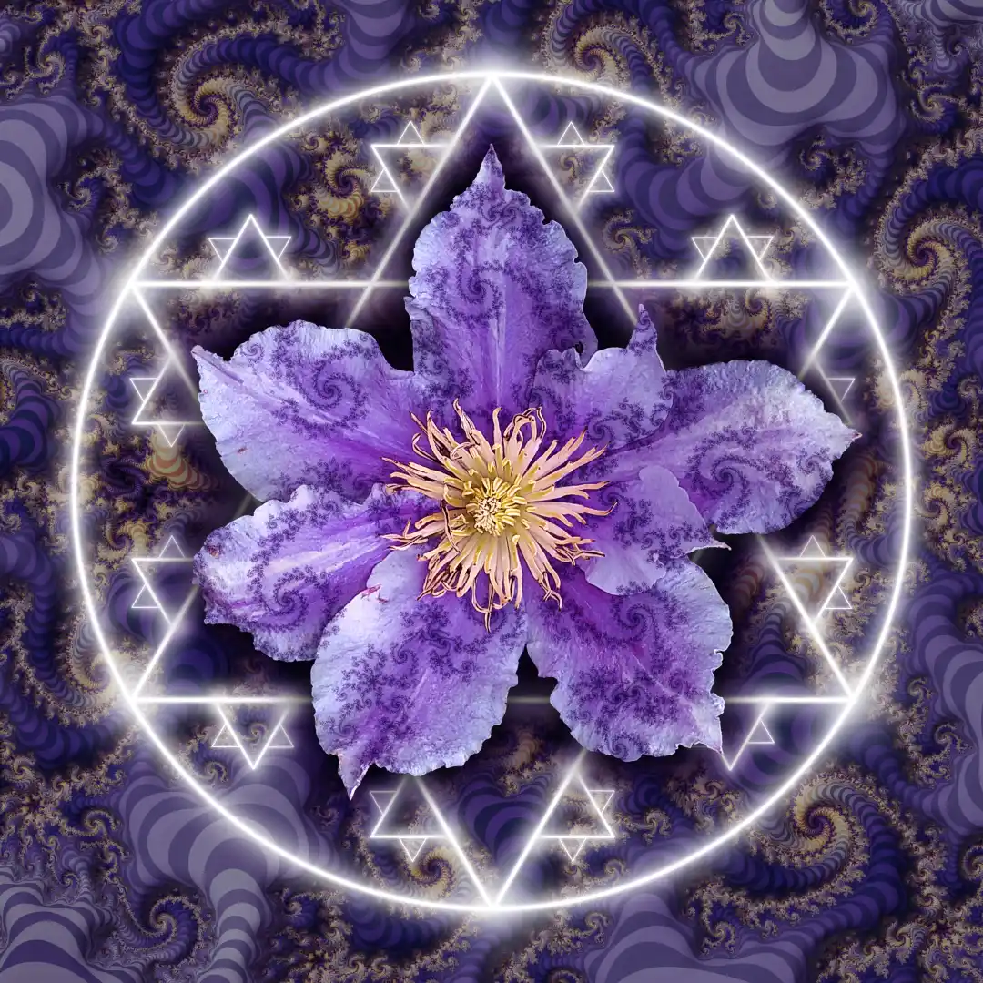 Sacred Fractal Geometry Flower - Fractal Turbulence - Art by Tim Waters